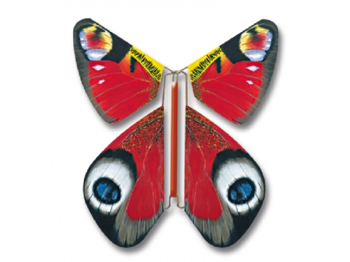 Flatterschmetterling – Bild 5