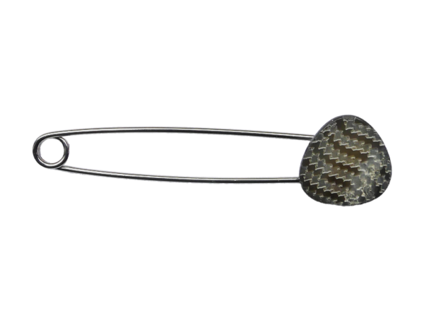 Muschel mit Streifen