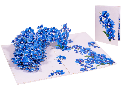 Klappkarte: Orchideen Eine Klappkarte aus Papier, die aufgeklappt ist und eine blaue Orchidee zu sehen ist.Im Hintergrund ist die karte zugeklappt zu sehen mit dem Motiv einer blauen Orchidee.