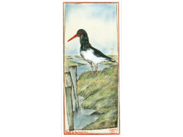 Kunstdruck: Austernfischer