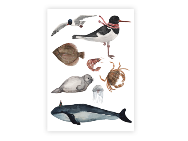 Postkarte: Inseltiere