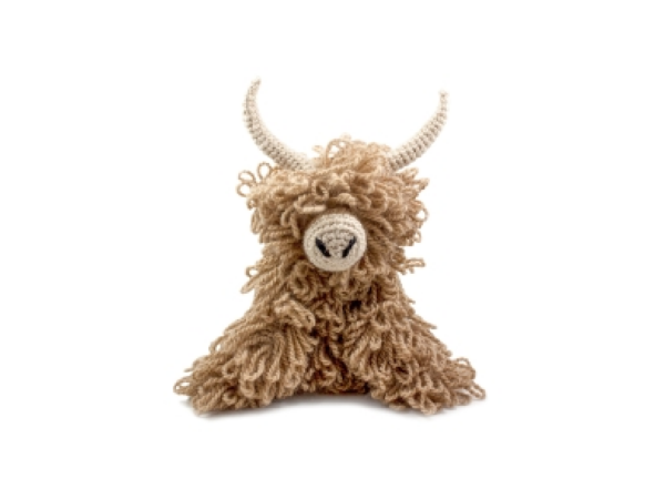 2404 Schottisches (Insel-)Rind