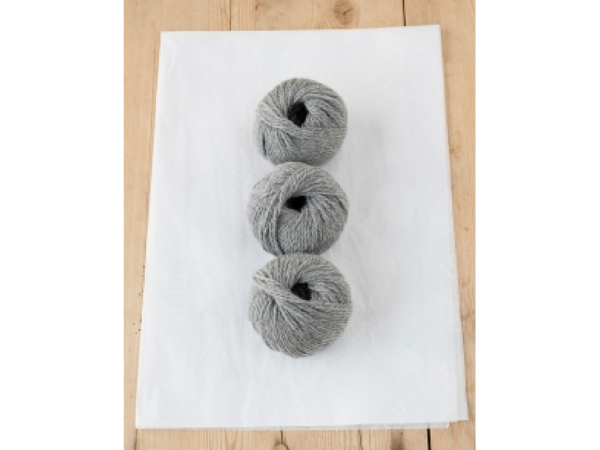 2420 Eichhörnchen grau