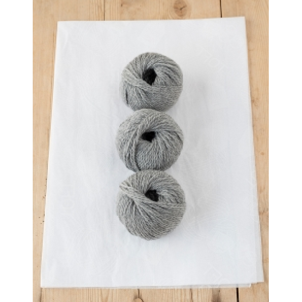 2420 Eichhörnchen grau