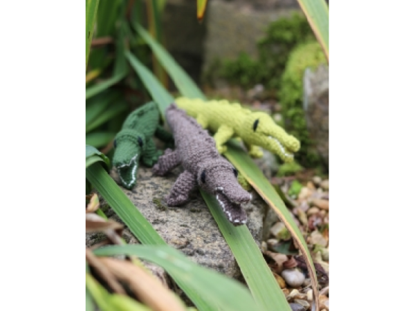 Kleines Krokodil