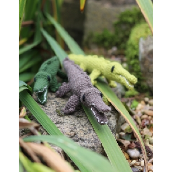 Kleines Krokodil