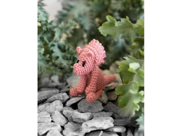 2466 Dino, klein - Triceratops