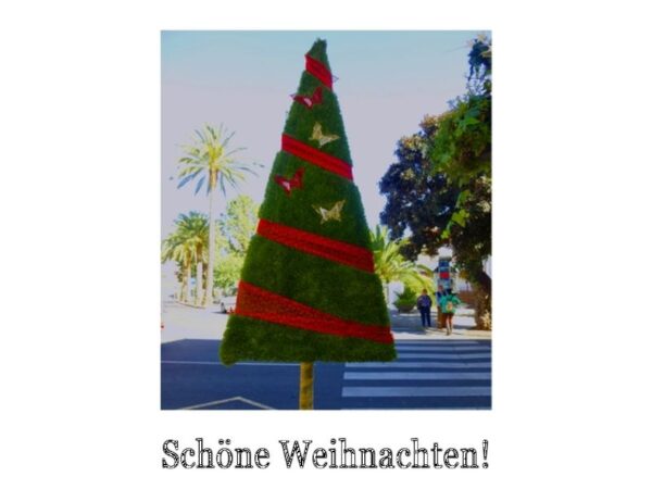Schöne Weihnachten: Palmen