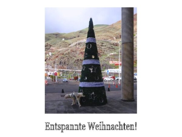 Entspannte Weihnachten: mit Hund