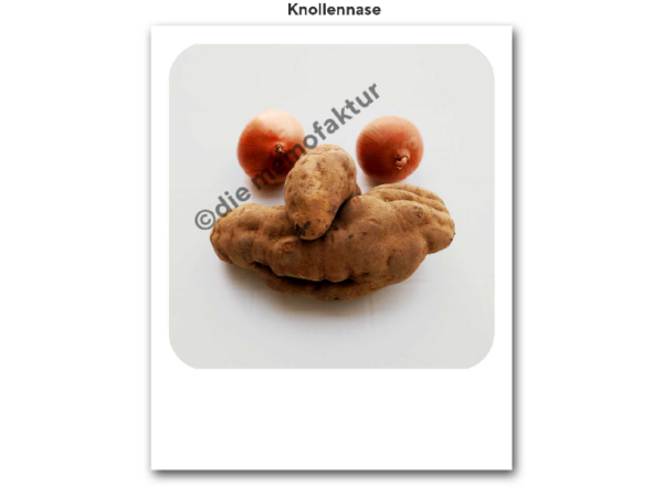 Karte: Knollennase