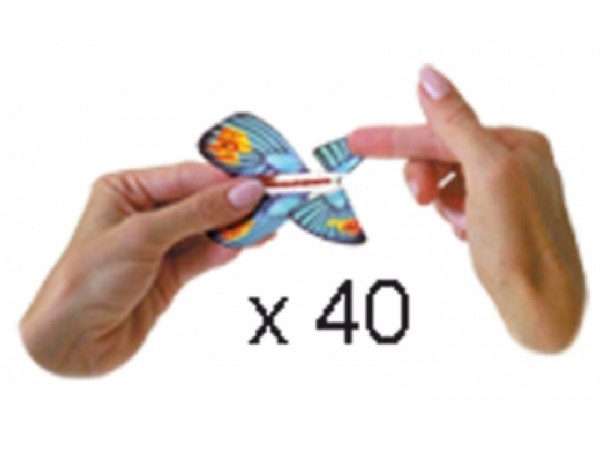 Flatterschmetterling