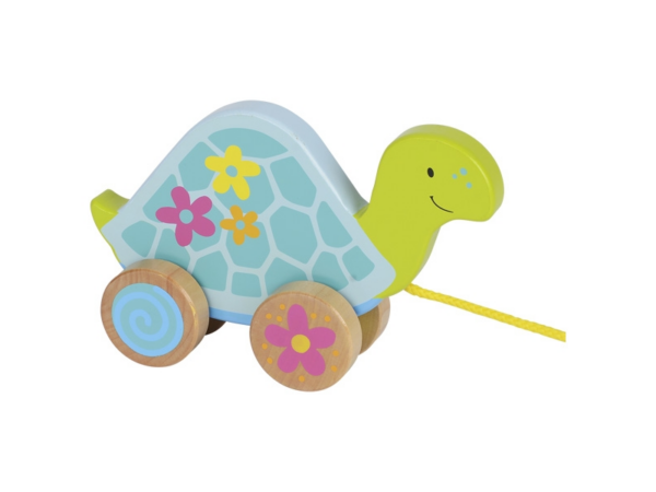 Ziehtier: Schildkröte Susibell