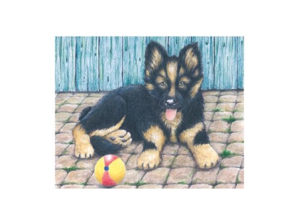 Würfelpuzzle: Bauernhoftiere