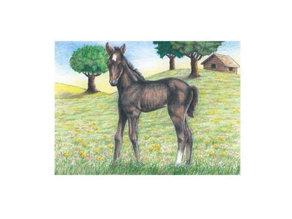 Würfelpuzzle: Bauernhoftiere