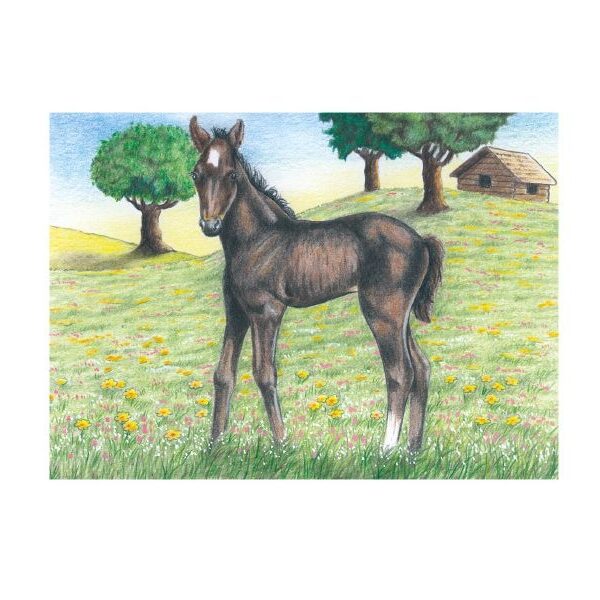 Würfelpuzzle: Bauernhoftiere