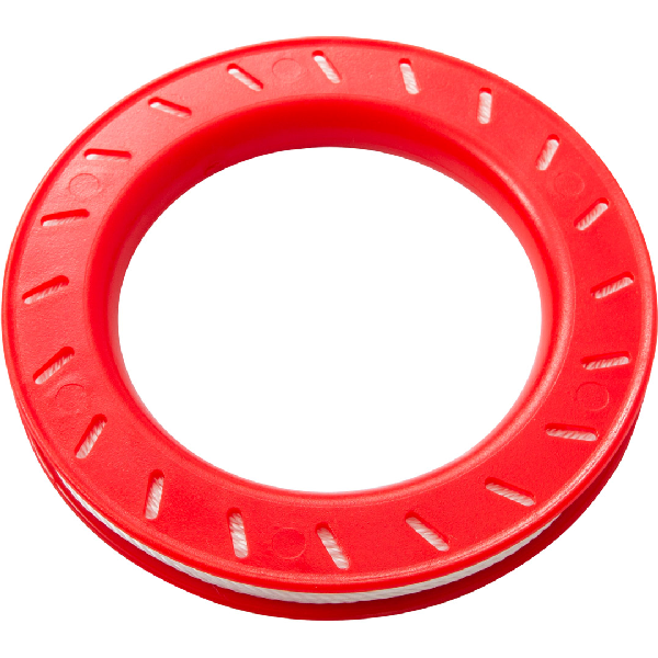 Regenbogen Drache groß