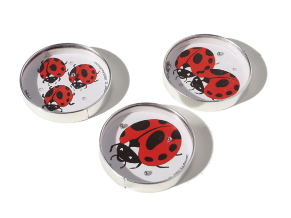 Geduldspiel: Marienkäfer