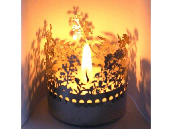 4250605100421 Wildwuchs