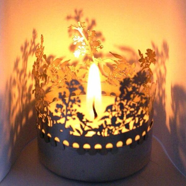 4250605100421 Wildwuchs