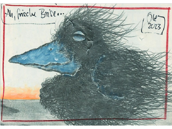 Postkarte: Rabe - Ah, frische Brise