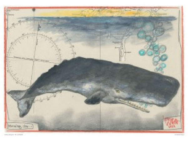 Postkarte: Wal - Morning Dew