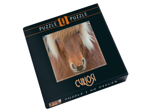 Q-Puzzle: Pferd