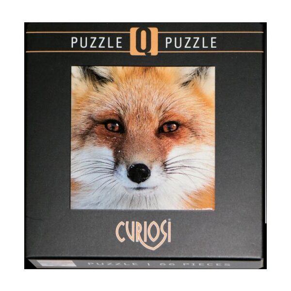 Q-Puzzle: Fuchs