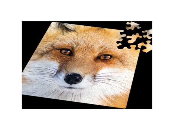 Q-Puzzle: Fuchs