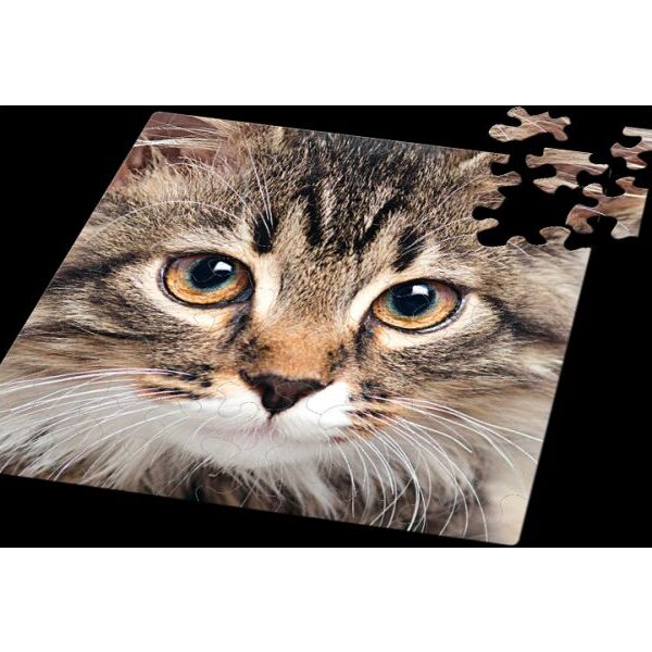 Q-Puzzle: Katze