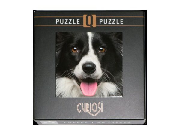 Q-Puzzle: Hund