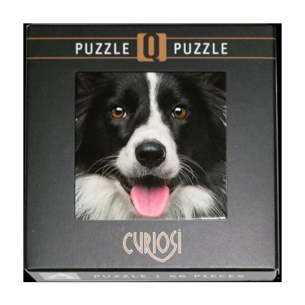 Q-Puzzle: Hund