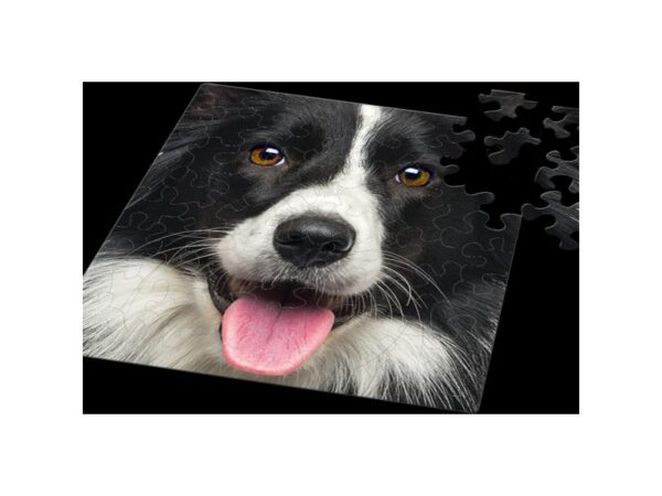 Q-Puzzle: Hund