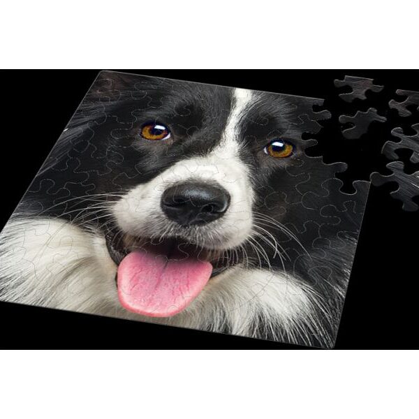 Q-Puzzle: Hund