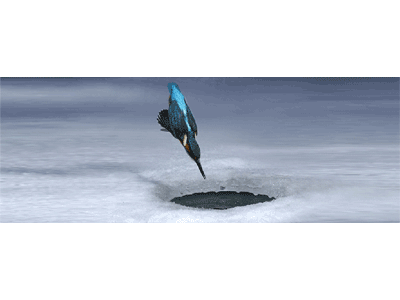 Lesezeichen: Eisvogel auf Jagd