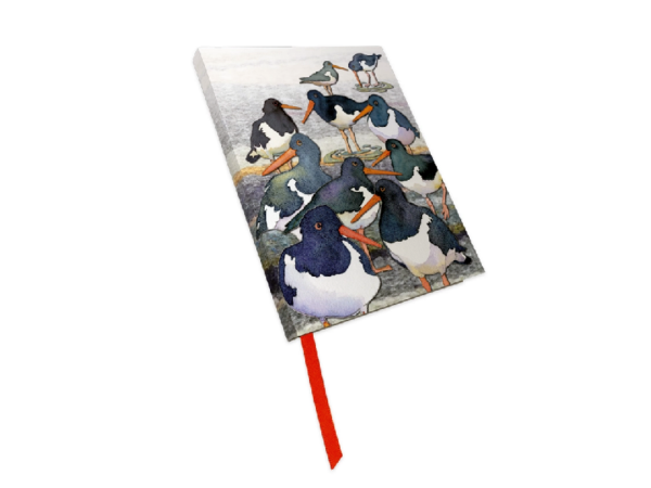 Notizbuch: Austernfischer