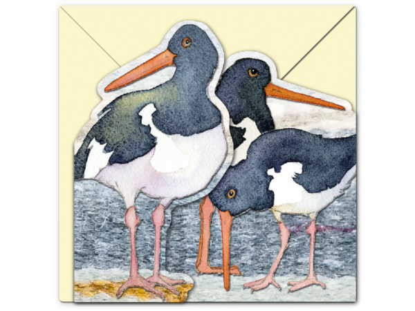 Karte zum Aufklappen: Austernfischer