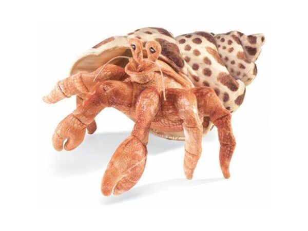 Handpuppe: Einsiedlerkrebs