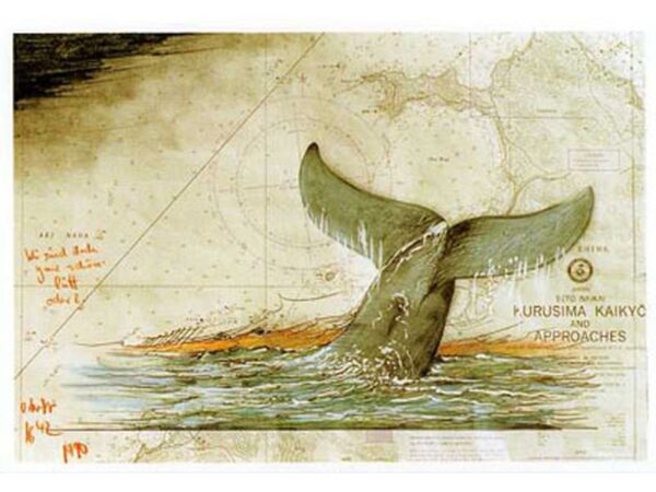 Postkarte: Walflosse