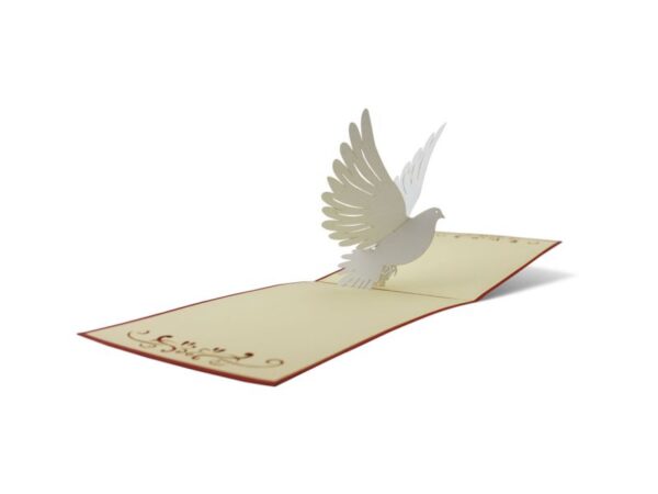 Friedens-Taube, Konfirmation