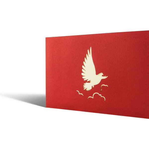 Friedens-Taube, Konfirmation