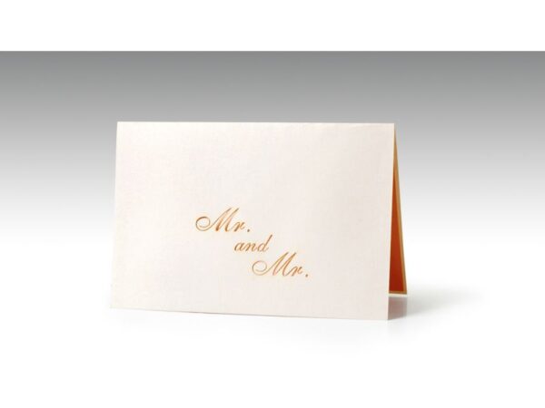 Hochzeit-Mr. and Mr.