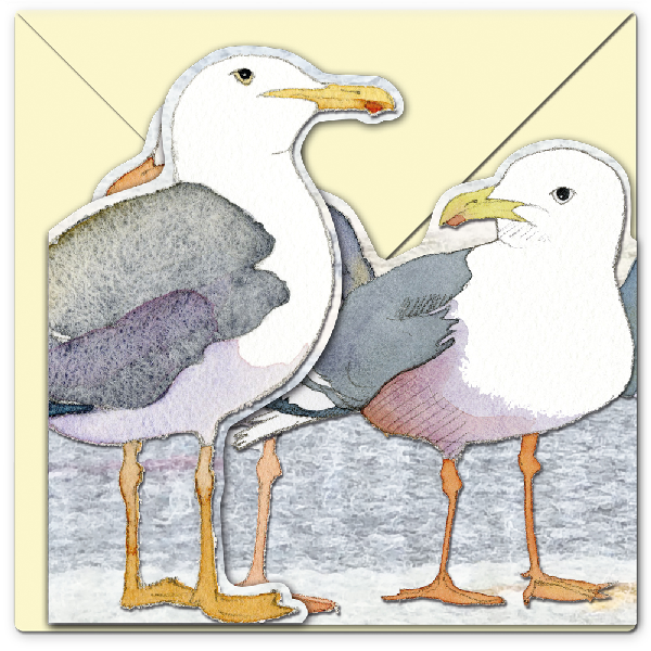 Karte zum Aufklappen: Möwen