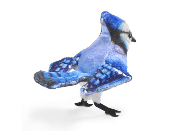 Fingerpuppe: Blauhäher