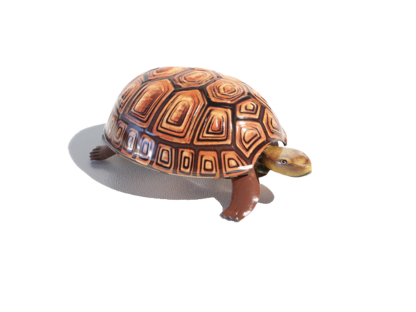 Blech: Schildkröte Blech: Schildkröte