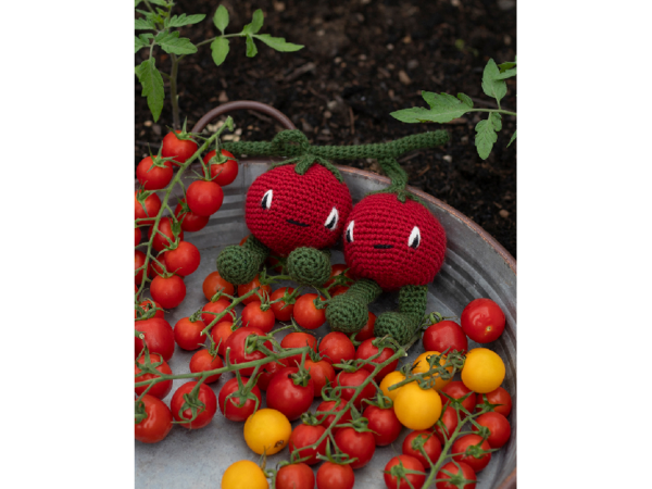 Cherry-Tomaten Cherry Tomaten