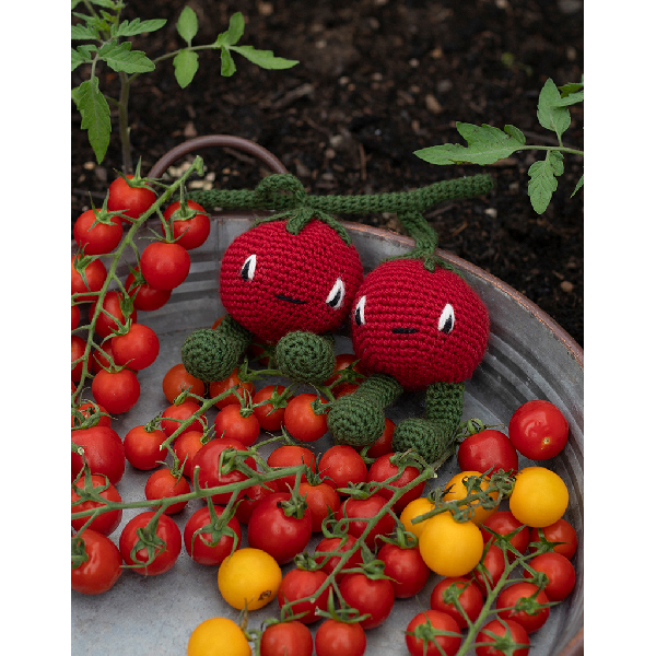 Cherry-Tomaten Cherry Tomaten