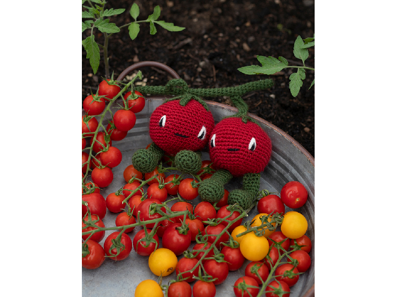 Cherry Tomaten