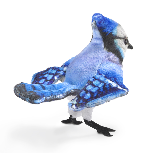 Fingerpuppe: Blauhäher