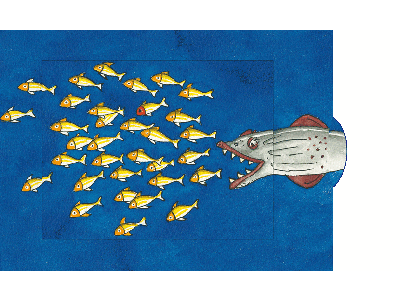 Fischschwarm Fischschwarm