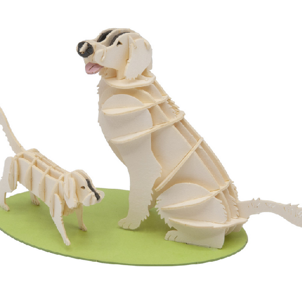 Hunde Fridolin - 3D Papiermodelle - Motiv: Hunde